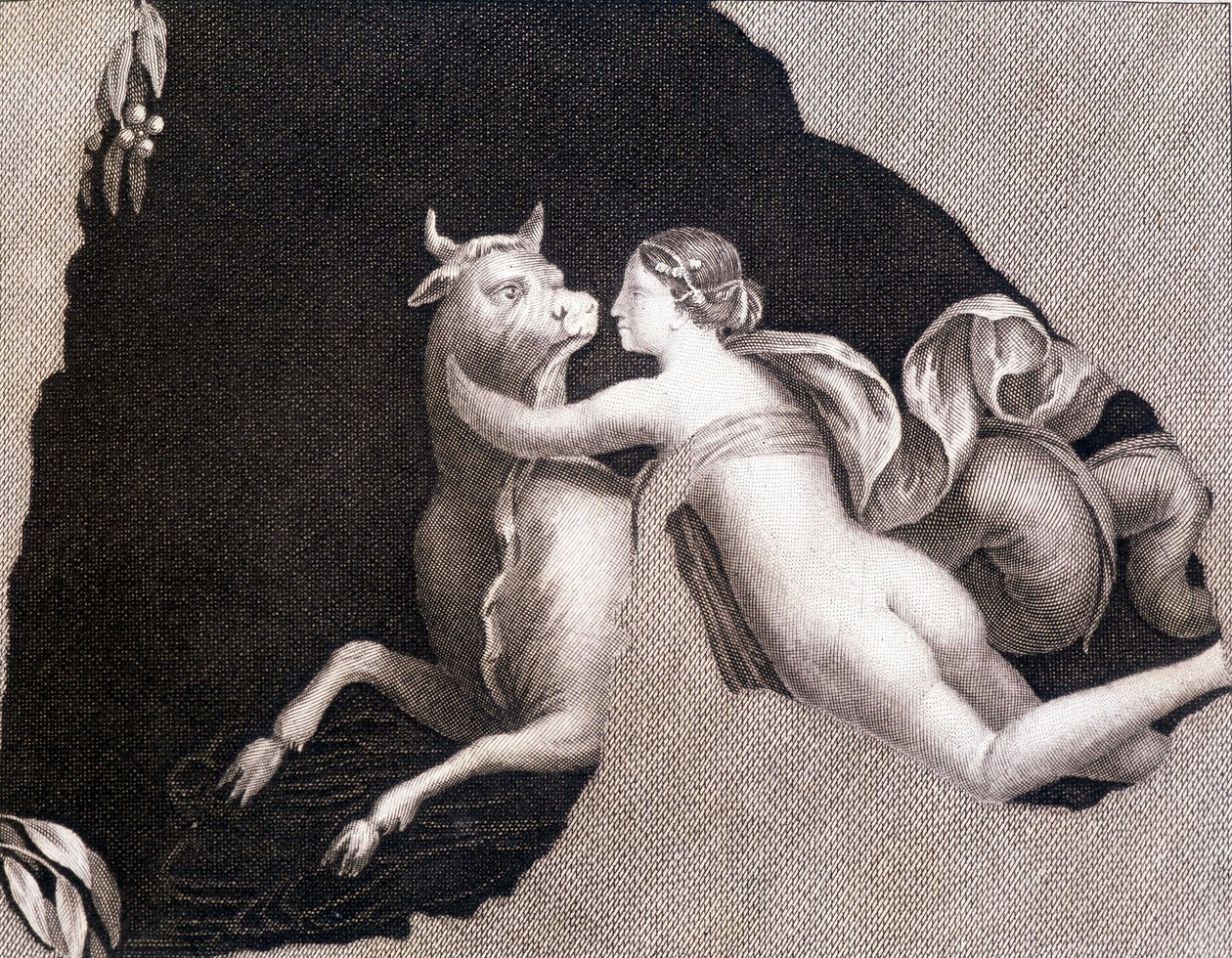 Európa elrablása - metszet alkotó: Unknown artist