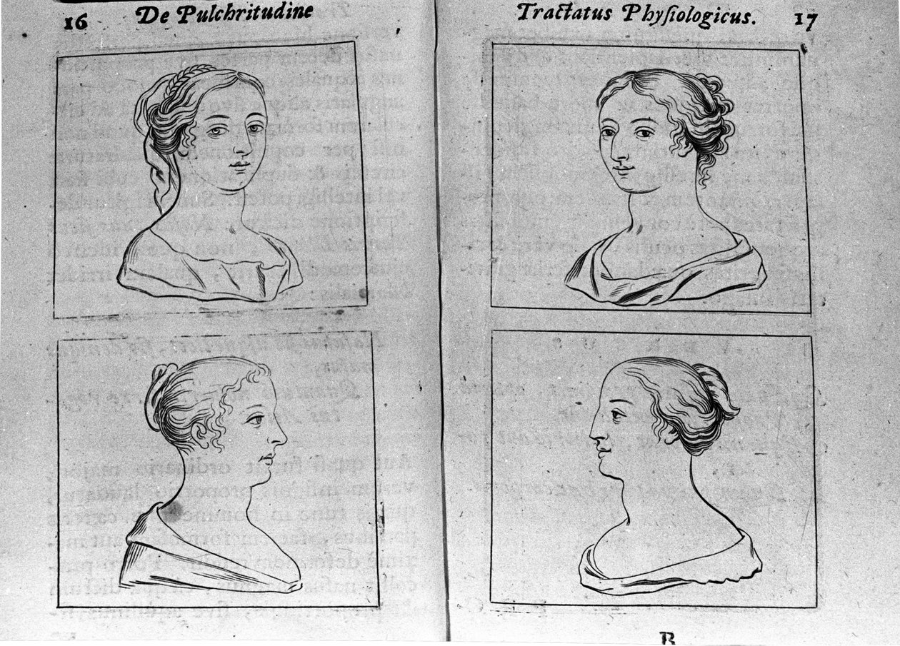 A "Tractatus physiologicus de beautye"-ből vett különböző női profilok Ernesto Venióval (Ernestus Vaenius) foglalkoznak, aki megvédi a teremtés szépségét egy névtelen ellenféllel szemben. 1612 alkotó: Unknown artist