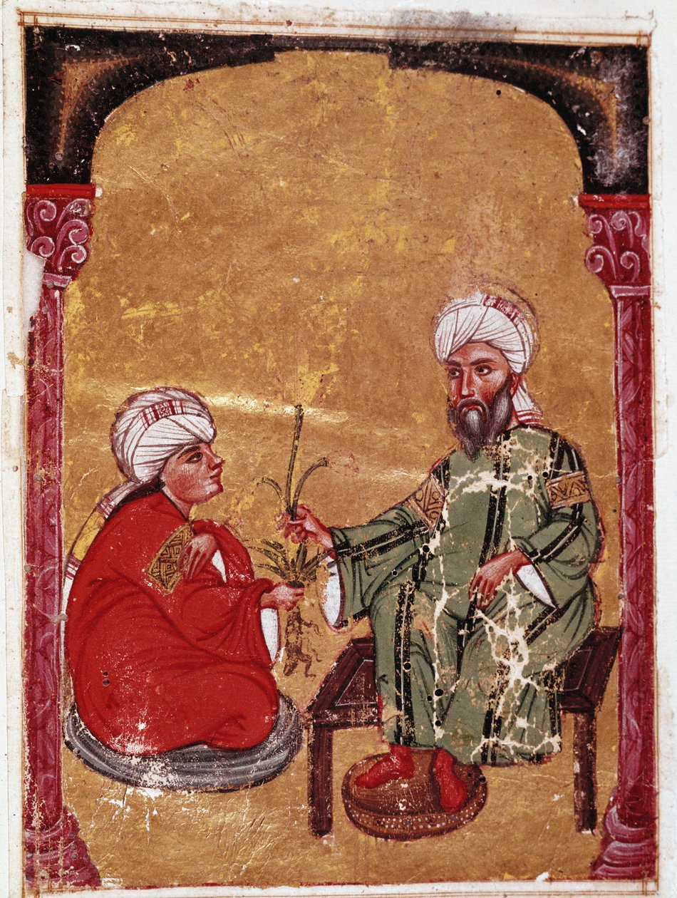 Az orvos és botanikus Pedanius Dioscoride (Pedanius Dioscorides) (i.sz. 40-90) ül egyik tanítványával Miniatűr a „De materia medica” értekezéséből” (ms Ahmed III, 2147, folio 217a) 1229 Topkapi Sarayi Múzeum könyvtára, Isztambul alkotó: Unknown artist