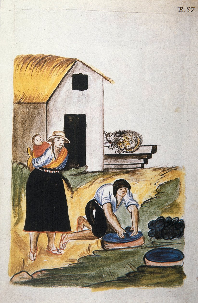 A gyapjúfestés Baltazar Martinez Companion és Bujanda, Trujillo püspöke (1782-1785) "Trujillo of Peru" vagy "Codex Martinez Companion" című könyvéből alkotó: Unknown artist