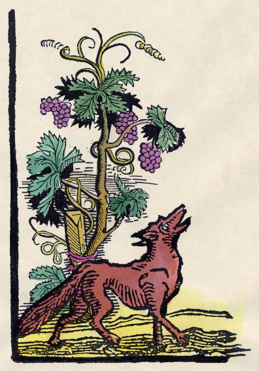 A róka és a szőlő. Asope meséje (18. századi metszet) alkotó: Unknown artist