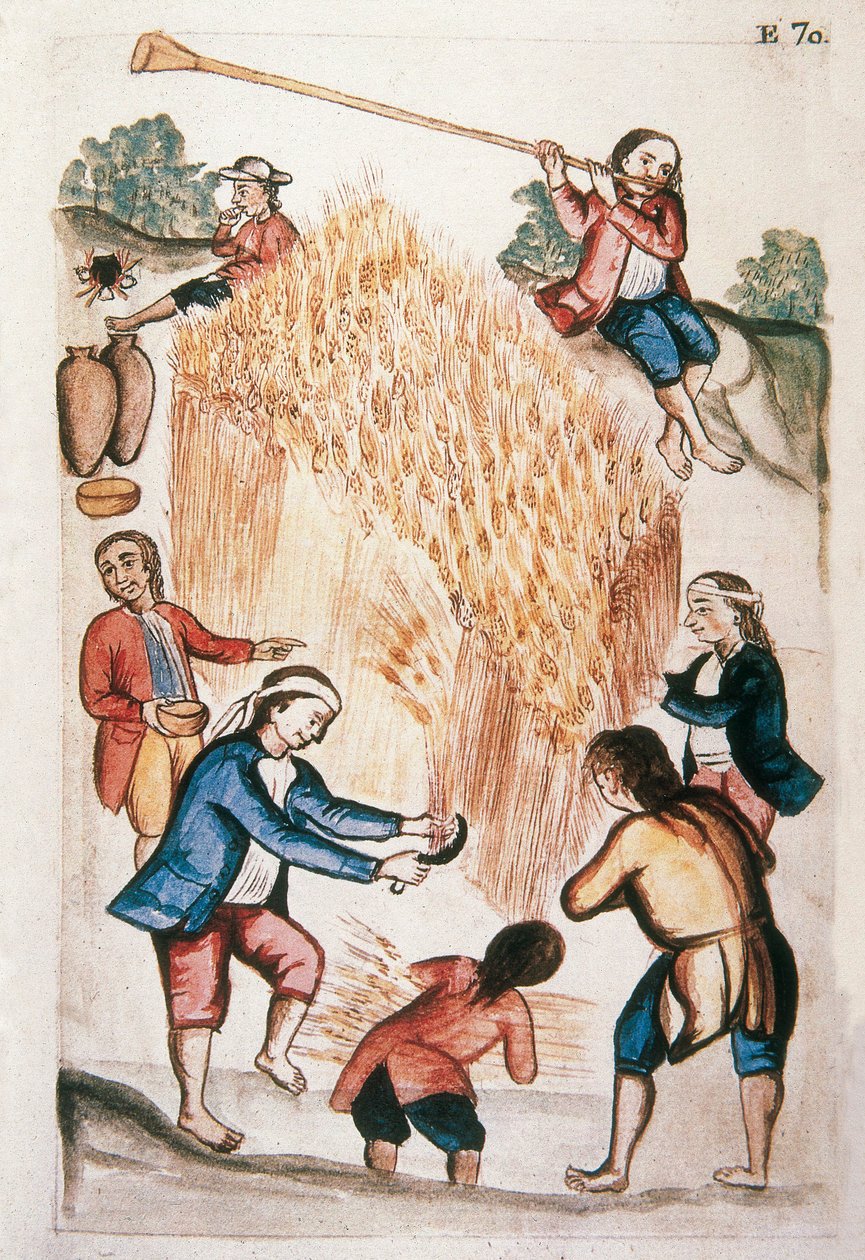 A termés Baltazar Martinez Companion és Bujanda, Trujillo püspöke (1782-1785) "Trujillo of Peru" vagy "Codex Martinez Companion" című könyvéből alkotó: Unknown artist