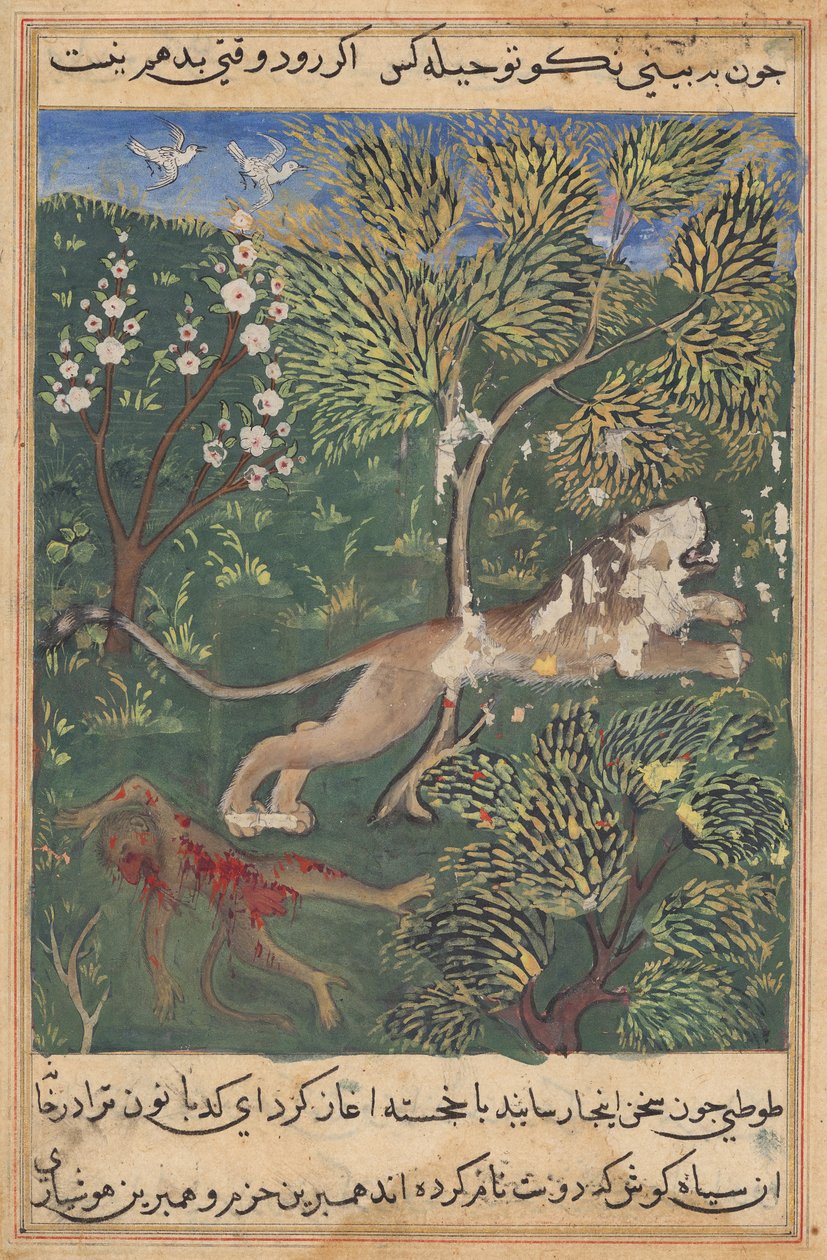 Az oroszlán a majom árulására gyanakszik, megöli és elmenekül egy Tuti-namából (Papagáj meséi): Huszonkilencedik éjszaka alkotó: Unknown artist