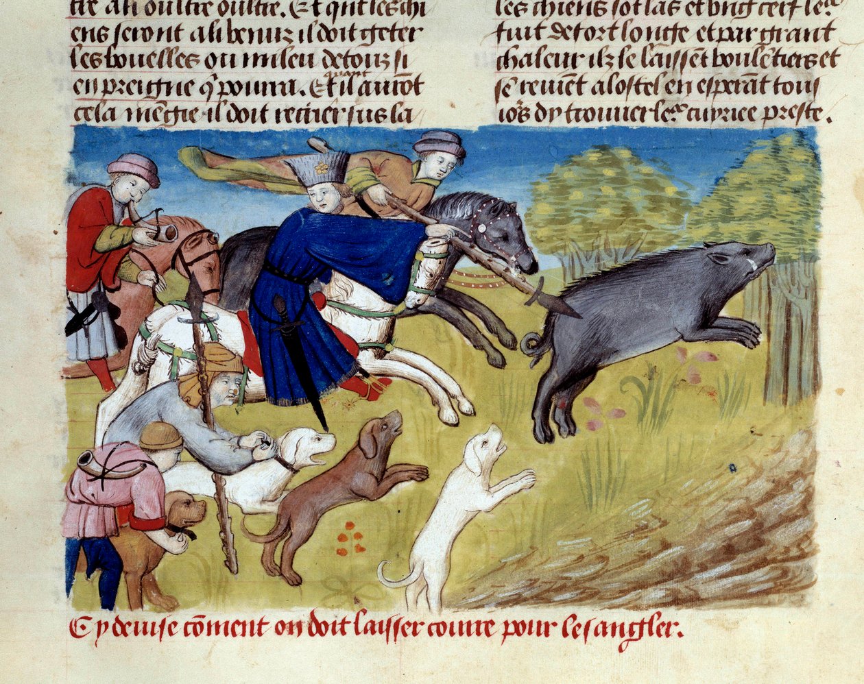 Gaston III Phoebus, Foix grófja, Bearn ura (1331-1391) miniatűr vaddisznóvadászata a „A vadászat könyvéből” alkotó: Unknown artist