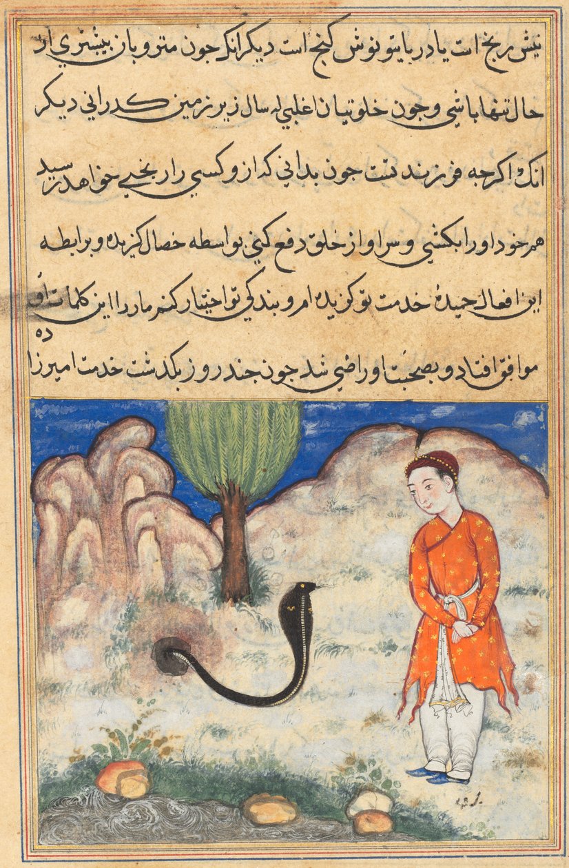 A herceg, Szisztán uralkodójának fia, kígyó szolgálatába áll, egy Tuti-namából (Papagáj meséi): Harminchetedik éjszaka alkotó: Unknown artist