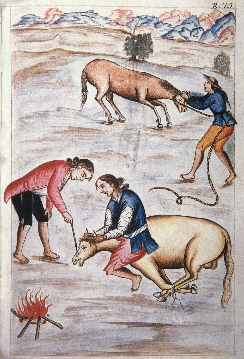 Egy kanca vörös vas márkajelzése, a "Trujillo del Peru" vagy a "Codex Martinez Companion" könyvből, Baltazar Martinez Companion és Bujanda, Trujillo püspöke (1782-1785) által alkotó: Unknown artist