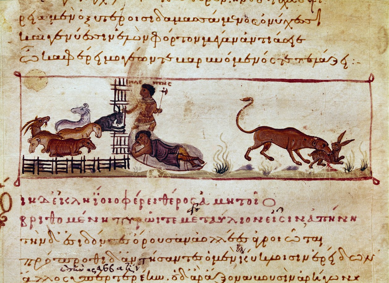 A juhtenyésztést, a jobb oldalon egy nyulat falja fel egy miniatűr vadállat, amelyet a szíriai Oppian (Oppian vagy Oppianus) (Kr. u. III. század) Caracallának szentelt fejéséből vettek fel. 11. századi Velence. Biblioteca Marciana alkotó: Unknown artist