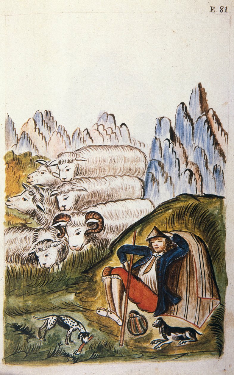 A pásztor és juhnyája, a "Trujillo del Peru" vagy "Codex Martinez Companion" című könyvéből, Baltazar Martinez Companion és Bujanda, Trujillo püspöke (1782-1785) alkotó: Unknown artist