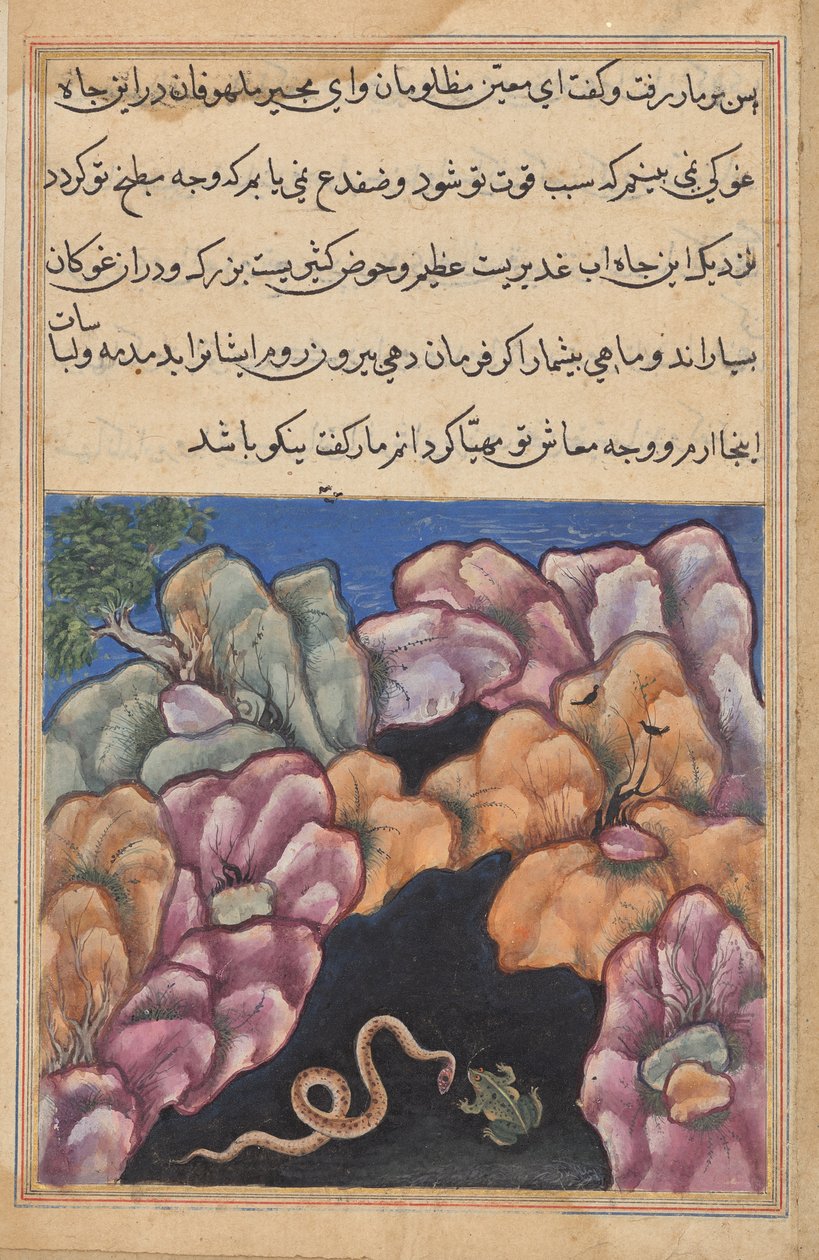 A kígyó vitába bocsátkozik a békával, egy Tuti-namából (Papagáj meséi): Huszonhatodik éjszaka alkotó: Unknown artist