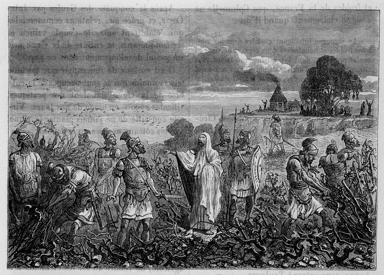 Domitianus császár parancsára a gallokban kitépett szőlőtőkék – Louis Figuier, Párizs „Az ipar csodái” című könyvében alkotó: Unknown artist