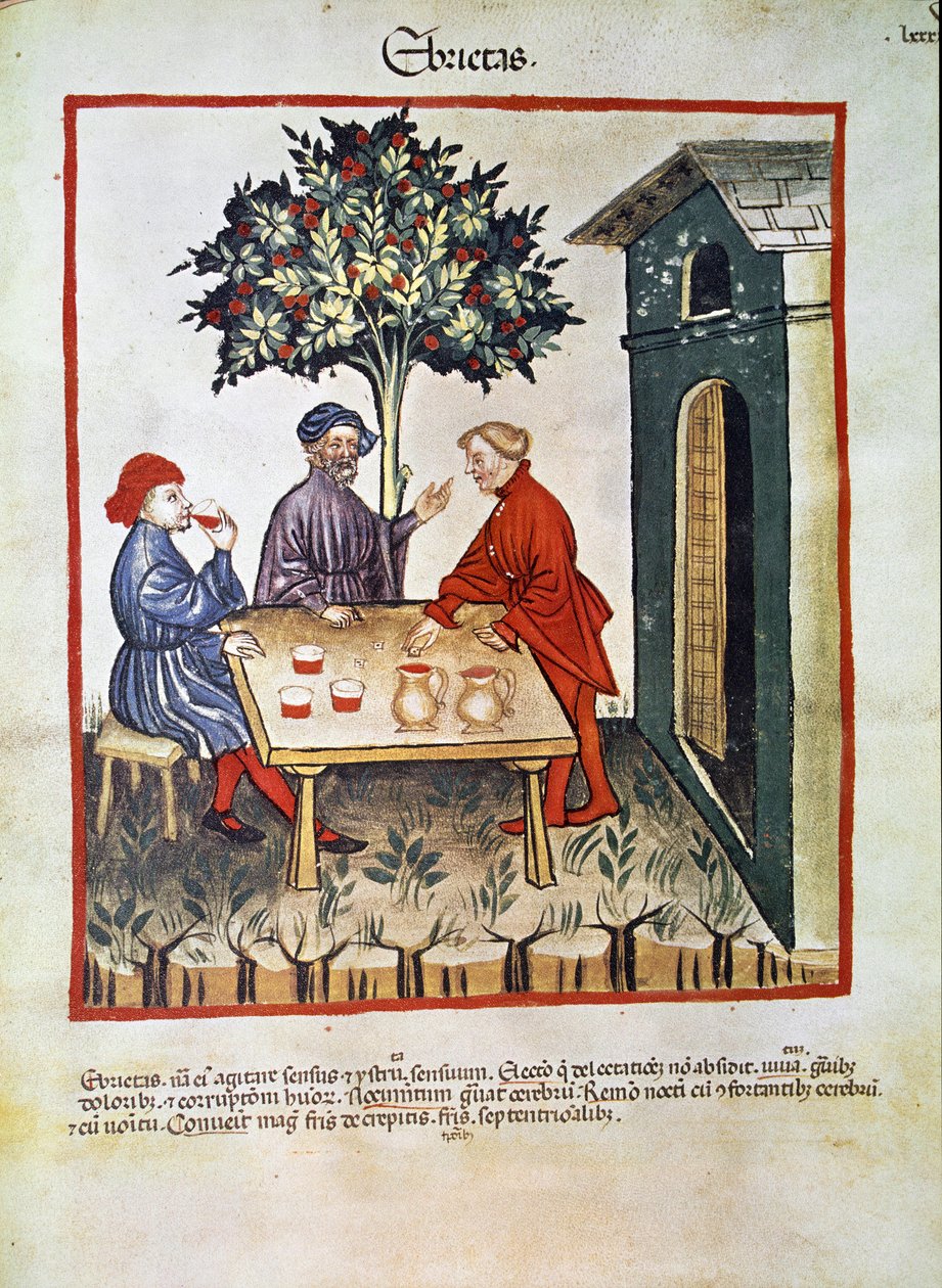 Kezelje a gyógyszert: "" részegség"" Oldal átvétele: "" Tacuinum sanitatis"" (Cod. ser. nov. 2644) 1400 körül Bécs, Osztrák Nemzeti Könyvtár alkotó: Unknown artist
