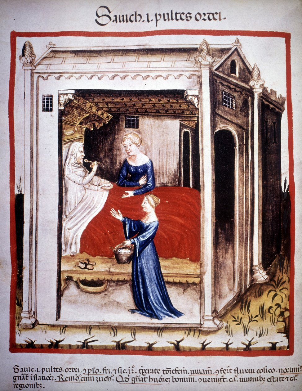 Orvostudományi traktátus „Tacuinum sanitatis”” 14. század: ápolónők által segített beteg. B.N, Bécs. alkotó: Unknown artist