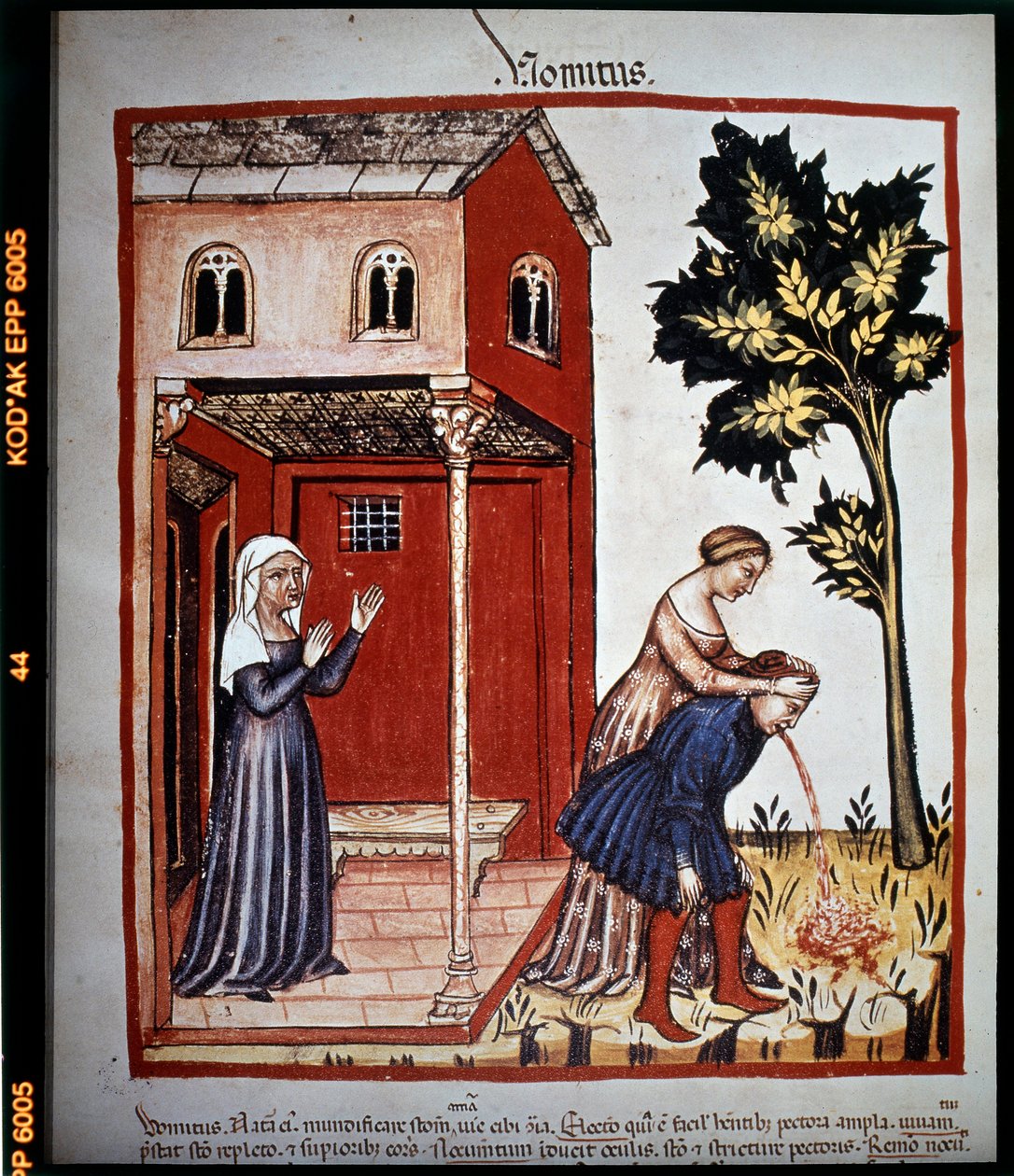 A 14. századi „Tacuinum sanitatis” orvostudományi traktátus: hányás. B.N, Bécs. alkotó: Unknown artist