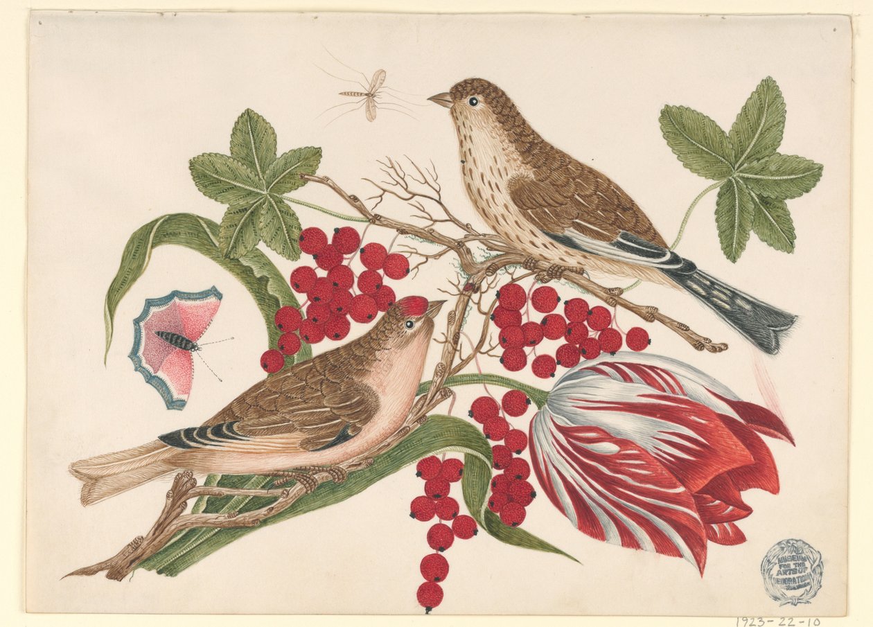 Két barna madár ágon tulipánnal, bogyókkal és rovarokkal alkotó: Unknown artist