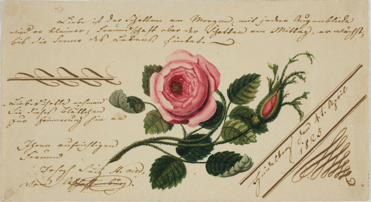 Névtelen Valentin (rózsaszín virág) alkotó: Unknown artist