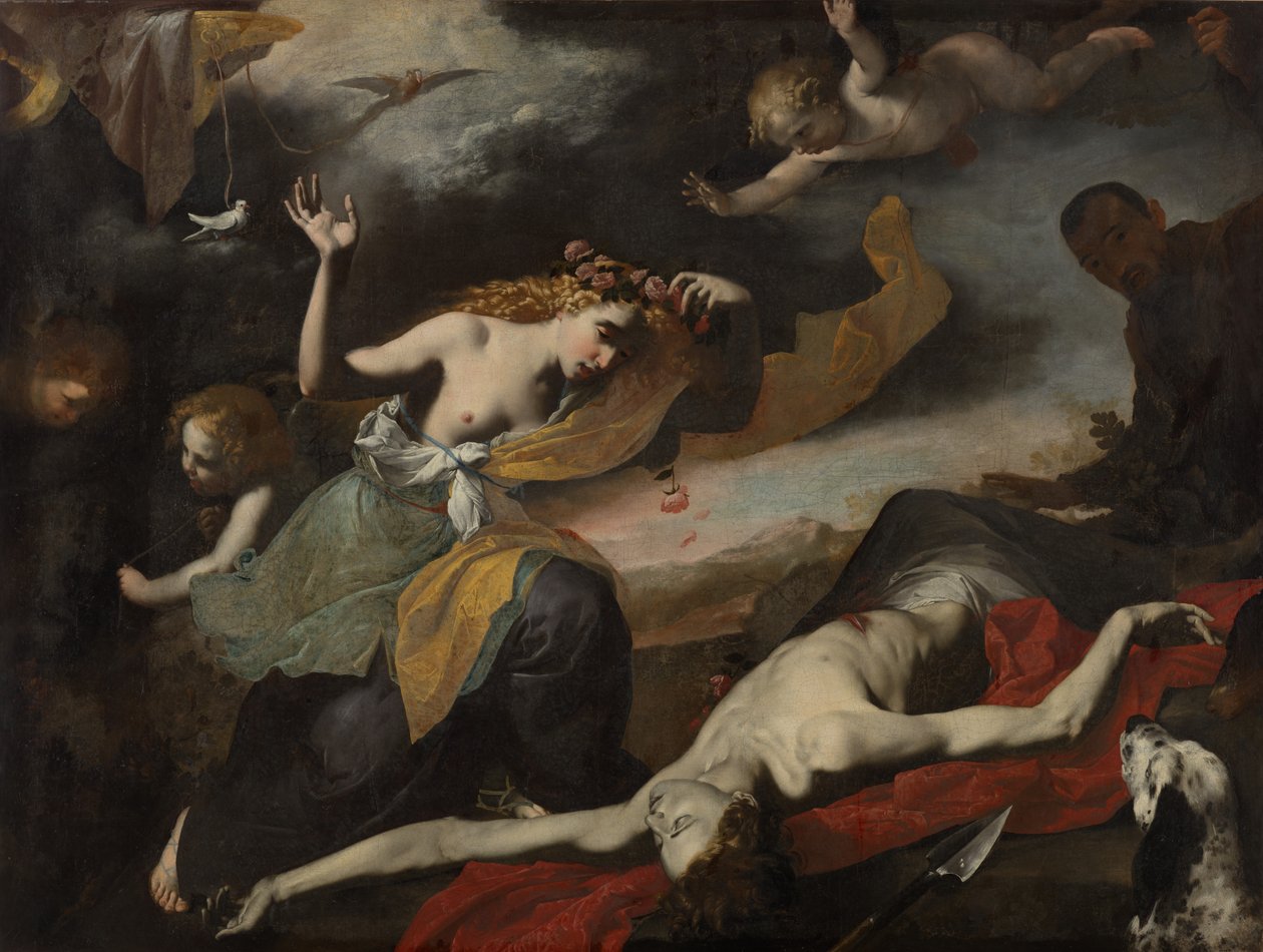A Vénusz felfedezi a halottakat Adonisz alkotó: Unknown artist