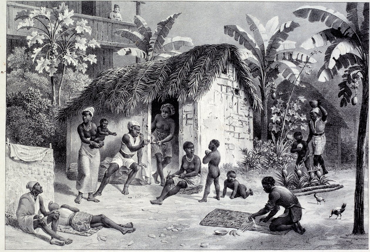 Kilátás egy ültetvényre néger szénnel a Nyugat-Indiában. 18. századi metszet. Chartres, Szépművészeti Múzeum alkotó: Unknown artist