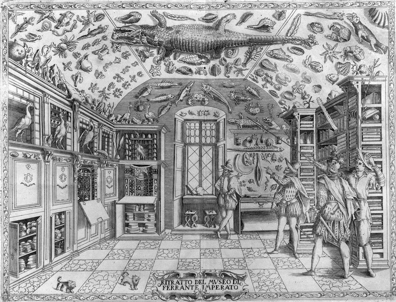 Ferrante Imperato (1550 - 1631) gyógyszerész érdekességeit bemutató múzeum (szekrény) (enciklopédikus múzeum) látképe. Metszet 1678-ból. Ferrante Imperato nápolyi patikus múzeuma. alkotó: Unknown artist