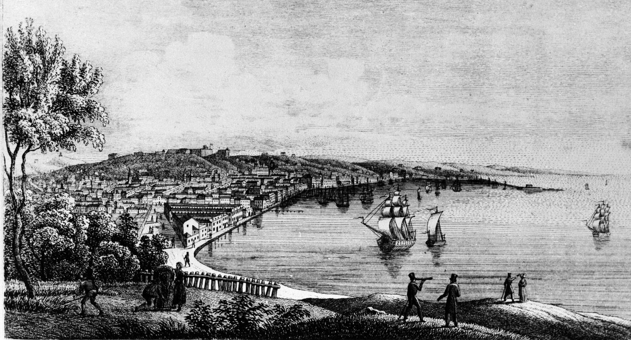 Trieszt város kikötőjének kilátása (az osztrák időszakban), 19. századi metszet. alkotó: Unknown artist
