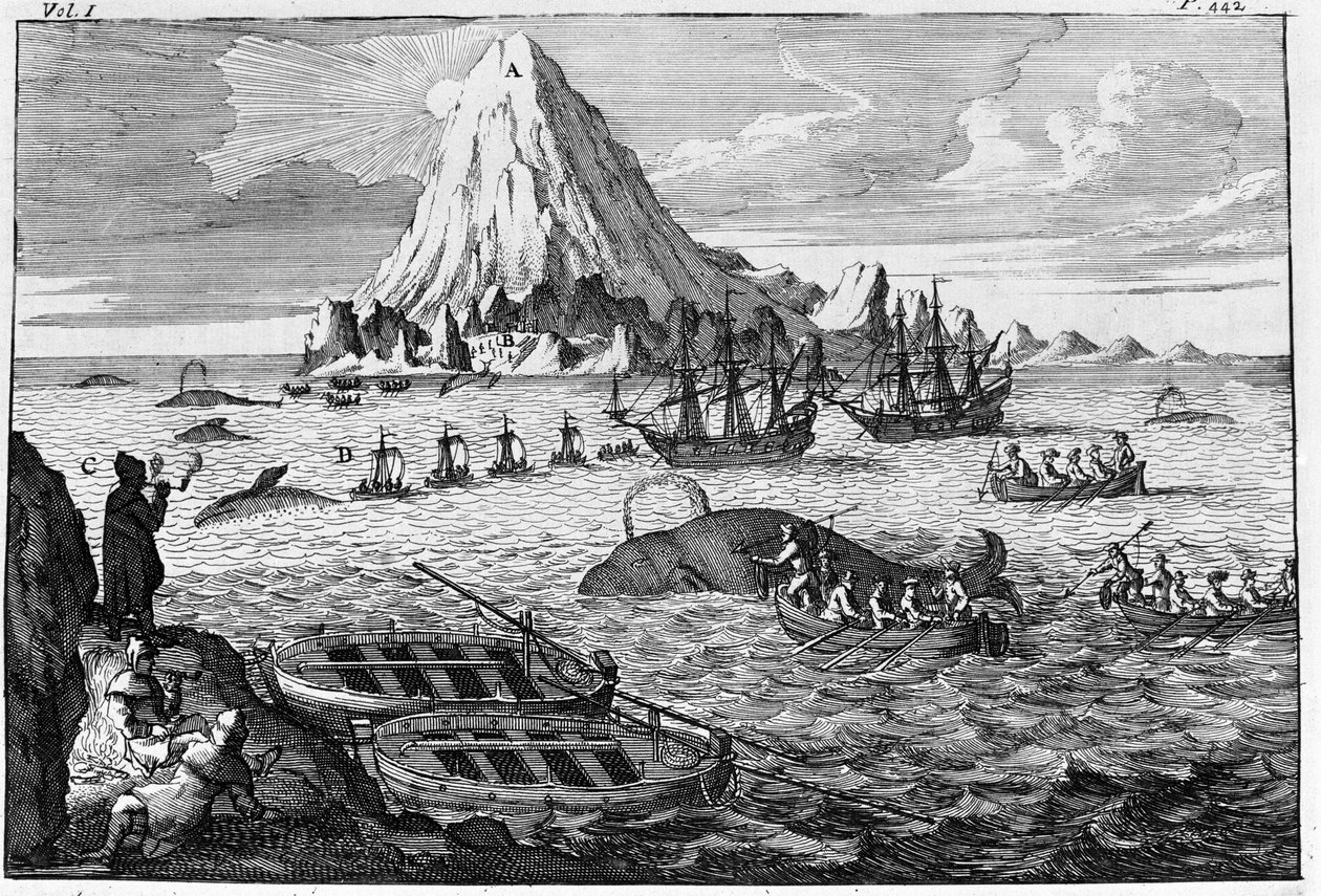Bálnavadászat Jan Mayen szigeténél. 18. század eleji metszet alkotó: Unknown artist