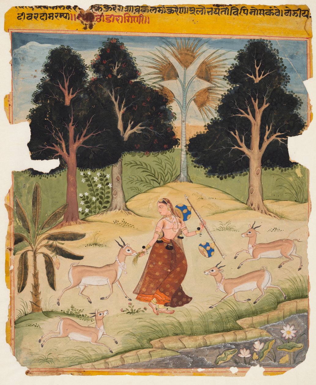 Szarvast etető nő: Todi Ragini, Ragamalából alkotó: Unknown artist