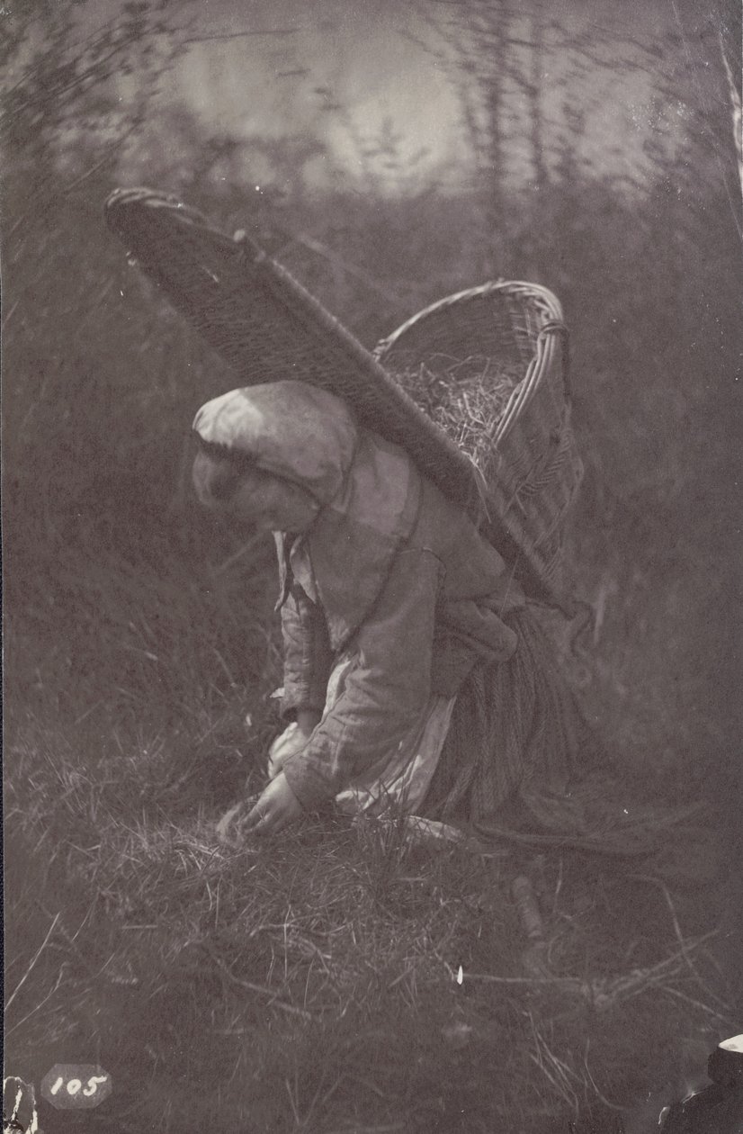 [Nő kosárral a hátán] alkotó: Unknown artist