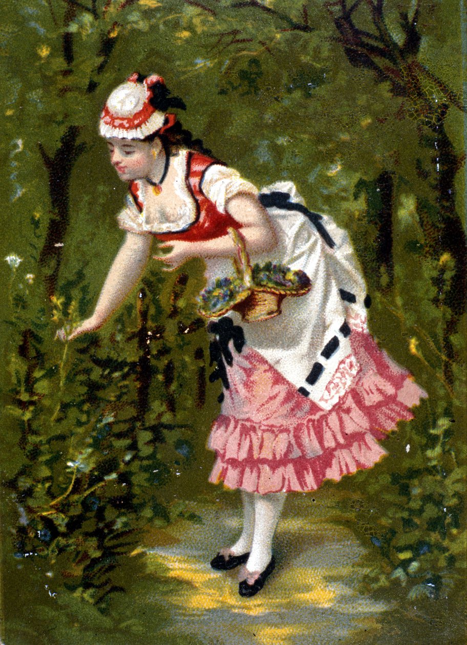 Fiatal nő virágot szedés. Kromolitográfia/ alkotó: Unknown artist