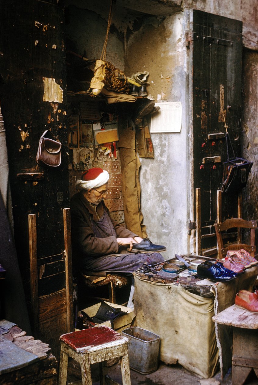 Suszter, Algír alkotó: Unknown photographer