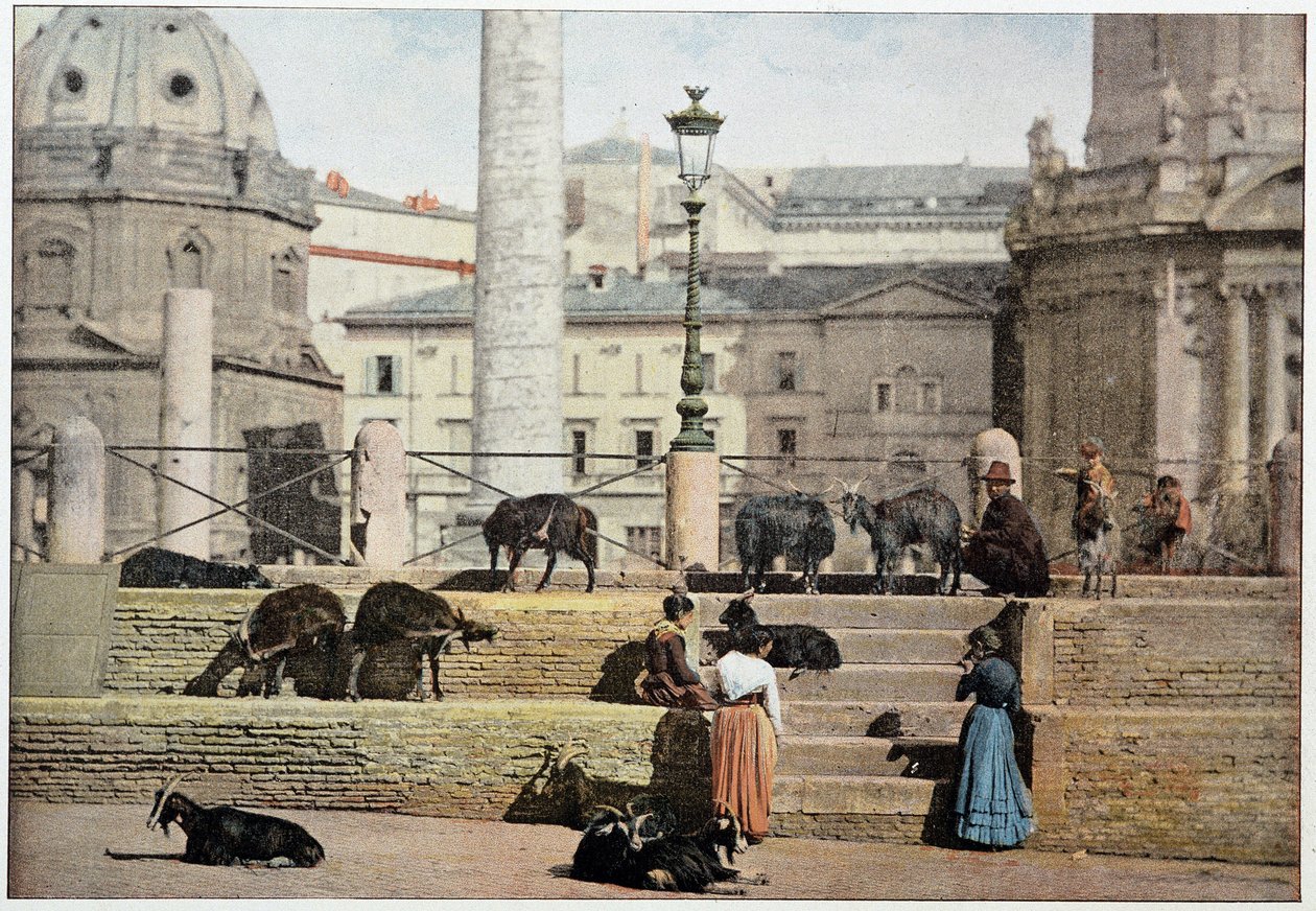 Ókori Róma: kilátás a római fórumra. Olaszország, 19. század vége. alkotó: Unknown photographer