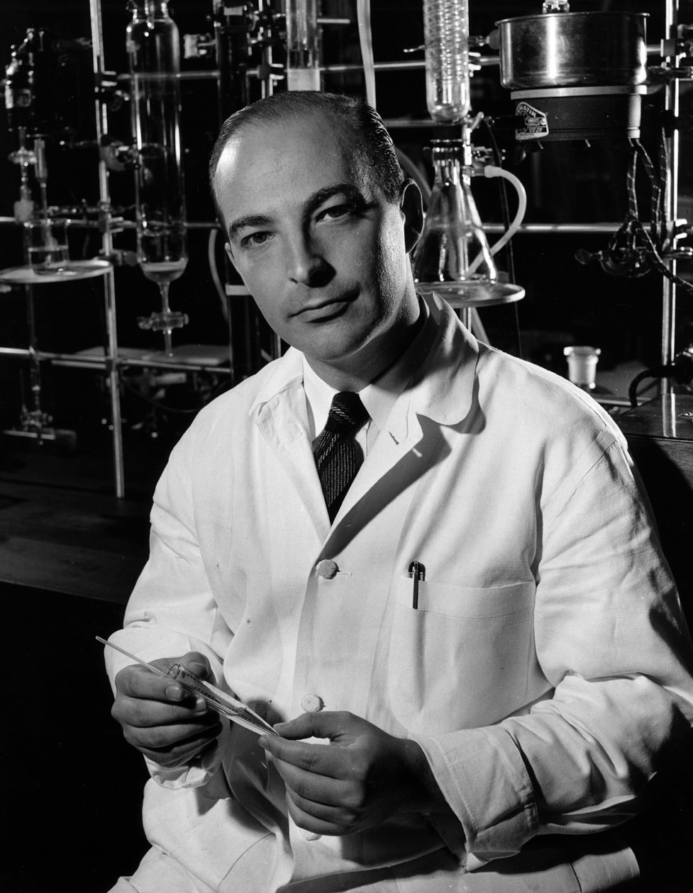 Arthur Kornberg (fekete-fehér fotó) alkotó: Unknown photographer
