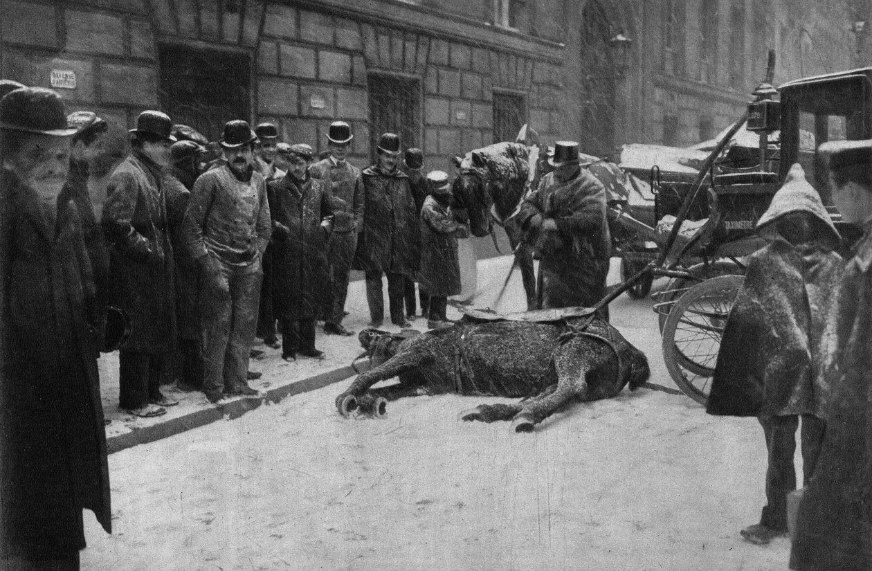 Egy kapcsoló ló halála Párizs utcáin. Fényképészet, 19. század vége, Párizs. Coll. Selva. alkotó: Unknown photographer