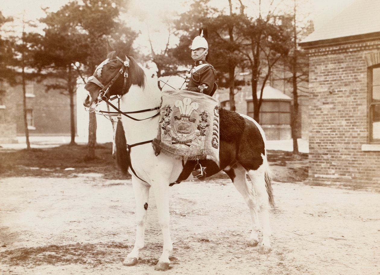 ?Dobló, 3. Wales hercegének dragonyos gárdája?, 1895 körül alkotó: Unknown photographer