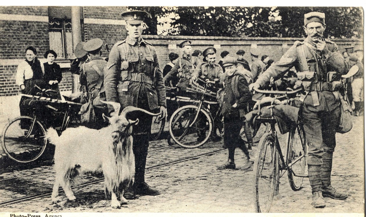 Gat: az első világháború (1914-1918) katonáinak kabalája. alkotó: Unknown photographer