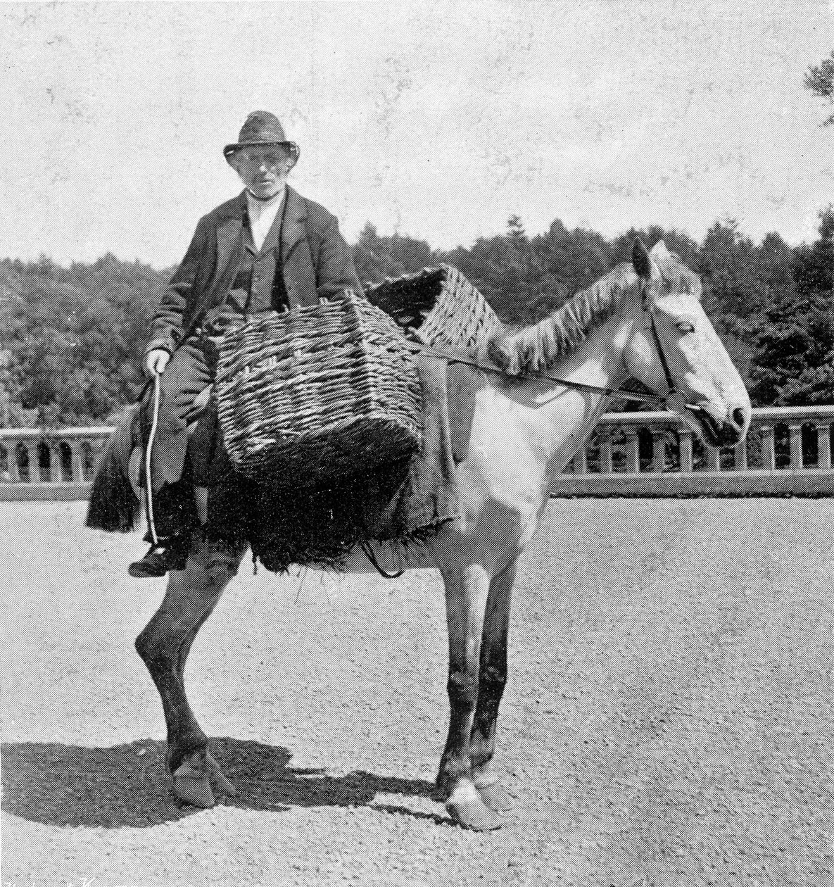 Ír férfi a lován (XIX. század). alkotó: Unknown photographer