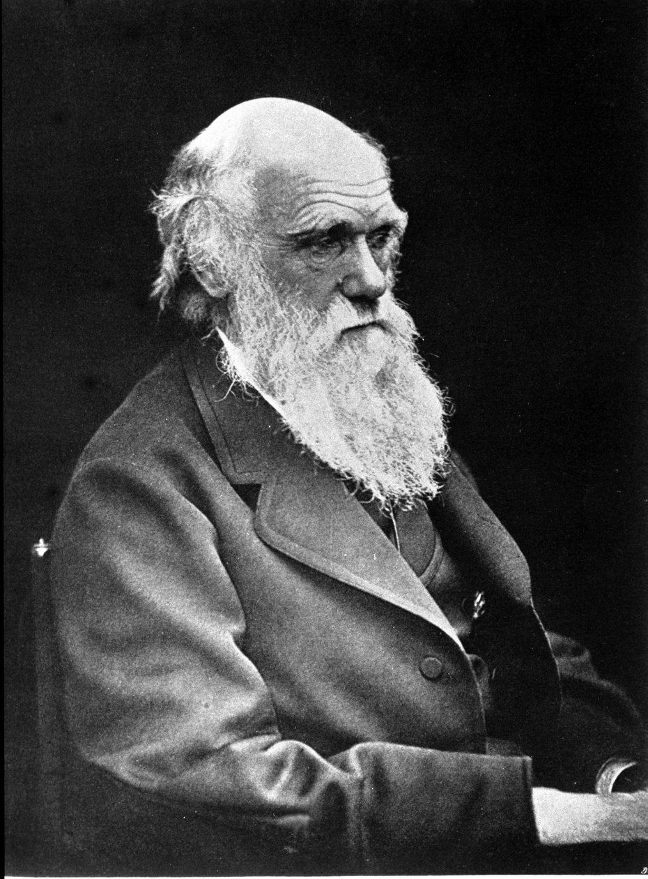 Charles Darwin (1809-1882) angol természettudós fényképes portréja. 1881 alkotó: Unknown photographer