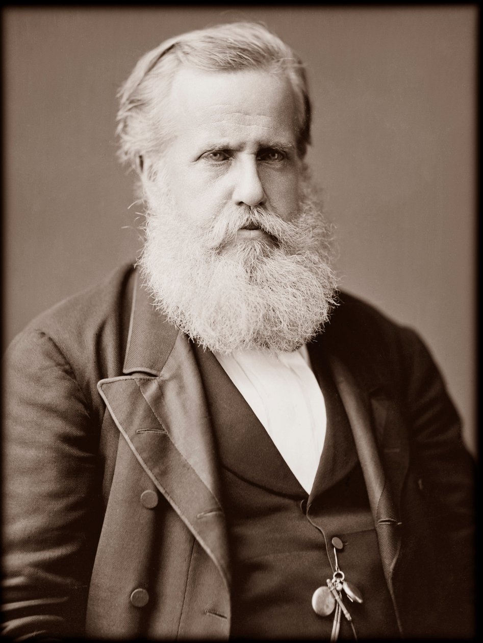 II. Dom Pedro (II. Péter) (II. Péter) (Dom Pedro de Alcantara) (1825-1891), brazil császár portréja alkotó: Unknown photographer