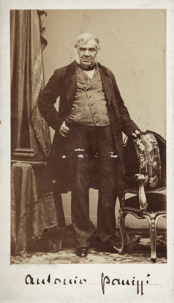 Antonio Panizzi szenátor (1797-1879), a British Museum könyvtárának igazgatója portréja alkotó: Unknown photographer