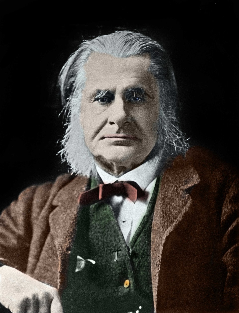 Thomas Henry Huxley portréja. brit biológus (1825-1895). alkotó: Unknown photographer