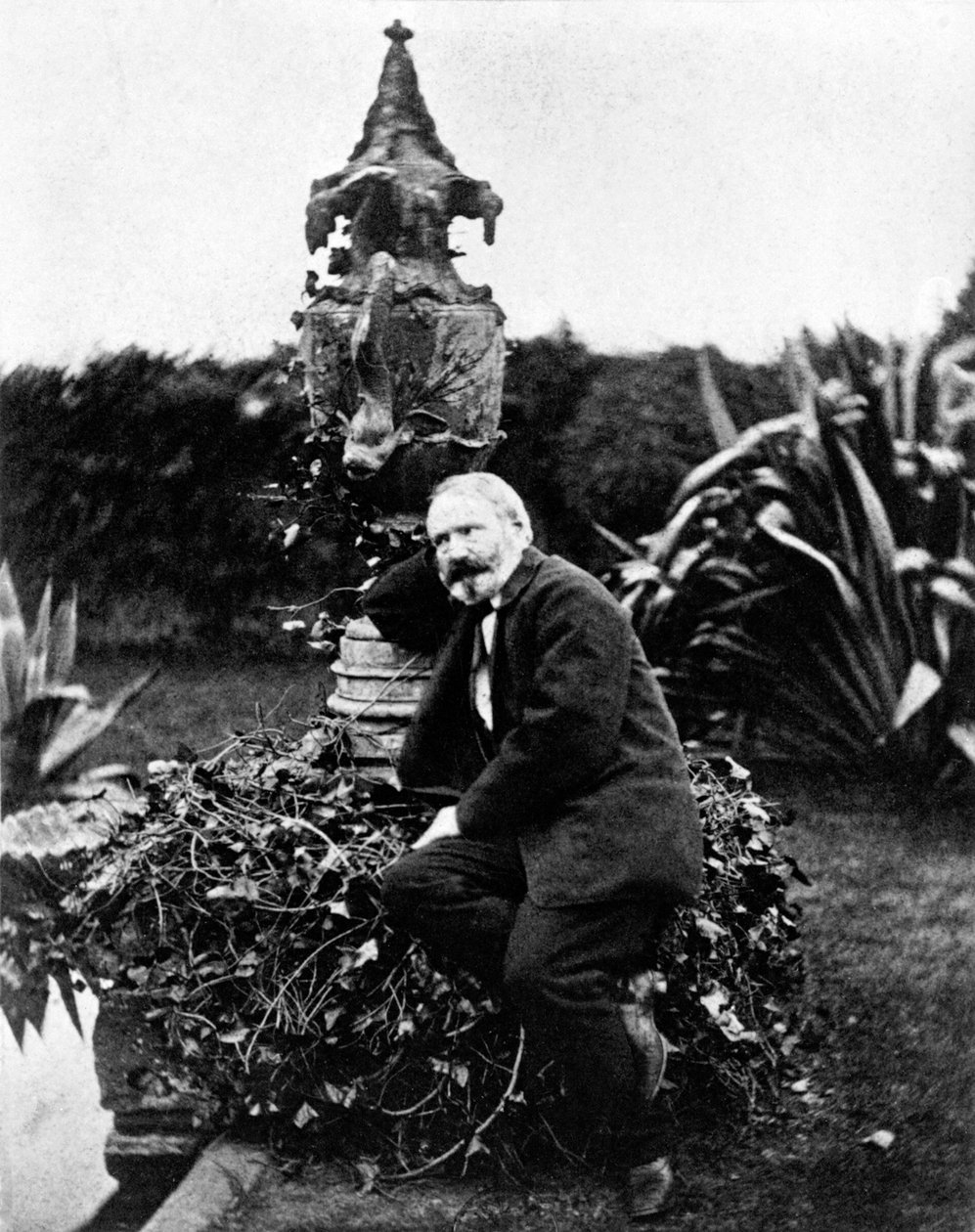 Victor Hugo portréja alkotó: Unknown photographer