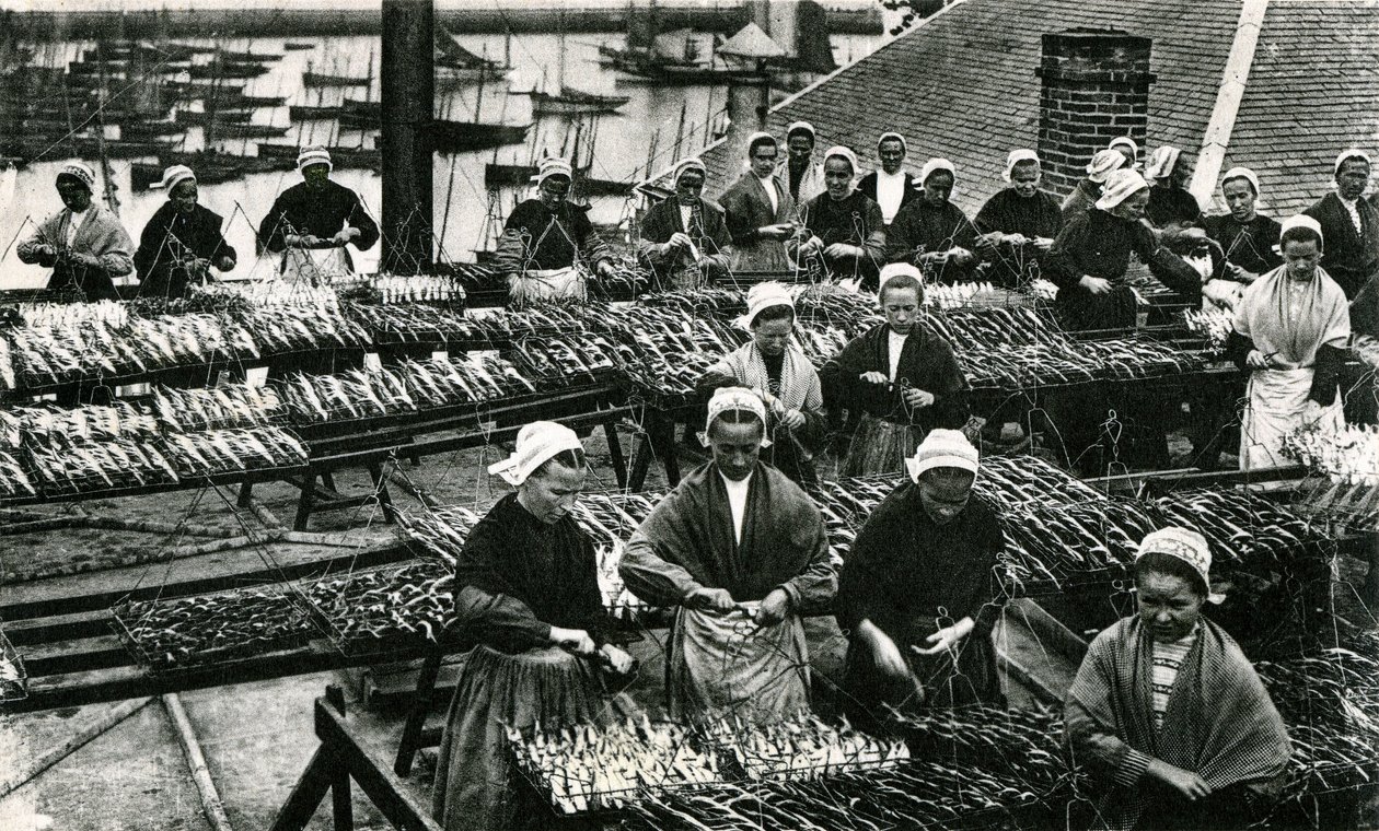 Szardíniagyártás, Finistère, Britttany (fekete-fehér fotó) alkotó: Unknown photographer