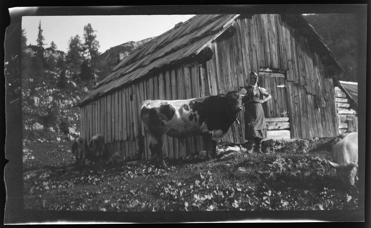 Vorderbachalm (hegyi legelő) alpesi kunyhóval a Grundl-tó melletti Göszl közelében alkotó: Unknown photographer