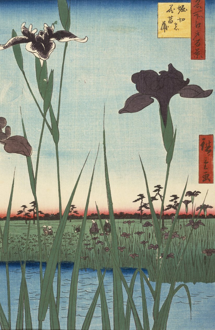 Horikiri íriszkert (Horikiri no hanashbu), az Edo száz híres látképe sorozatból (Meish... alkotó: Utagawa Hiroshige