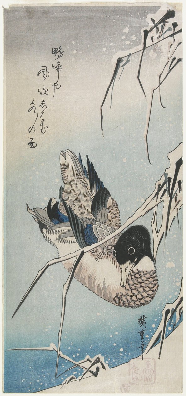 (Kacsa és havas nádas), 1830-as évek eleje alkotó: Utagawa Hiroshige