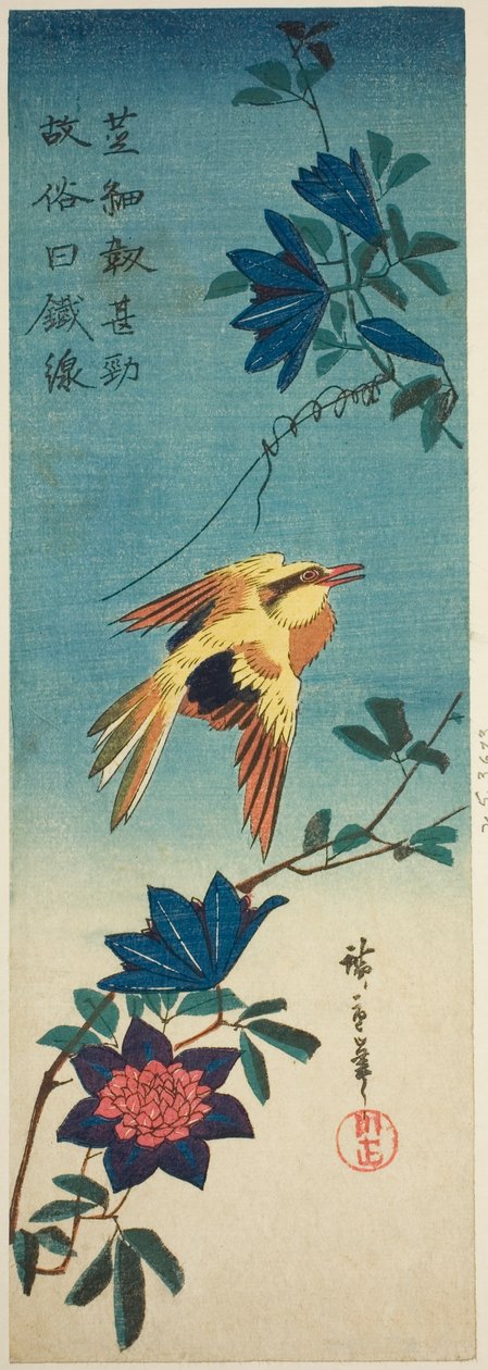 (Faksimile?) Fekete szarvasrigó és klematisz alkotó: Utagawa Hiroshige
