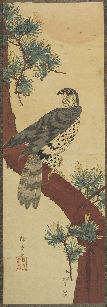 (Hawk on Pine Branch, Summer), 1853. szeptember alkotó: Utagawa Hiroshige