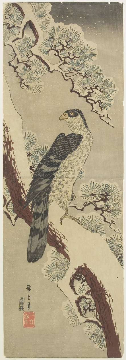 (Hawk on Pine Branch, Winter), 19. század eleje alkotó: Utagawa Hiroshige