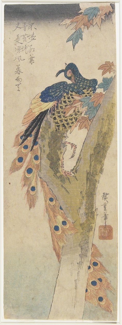 (Páva a juharfán), 19. század eleje alkotó: Utagawa Hiroshige