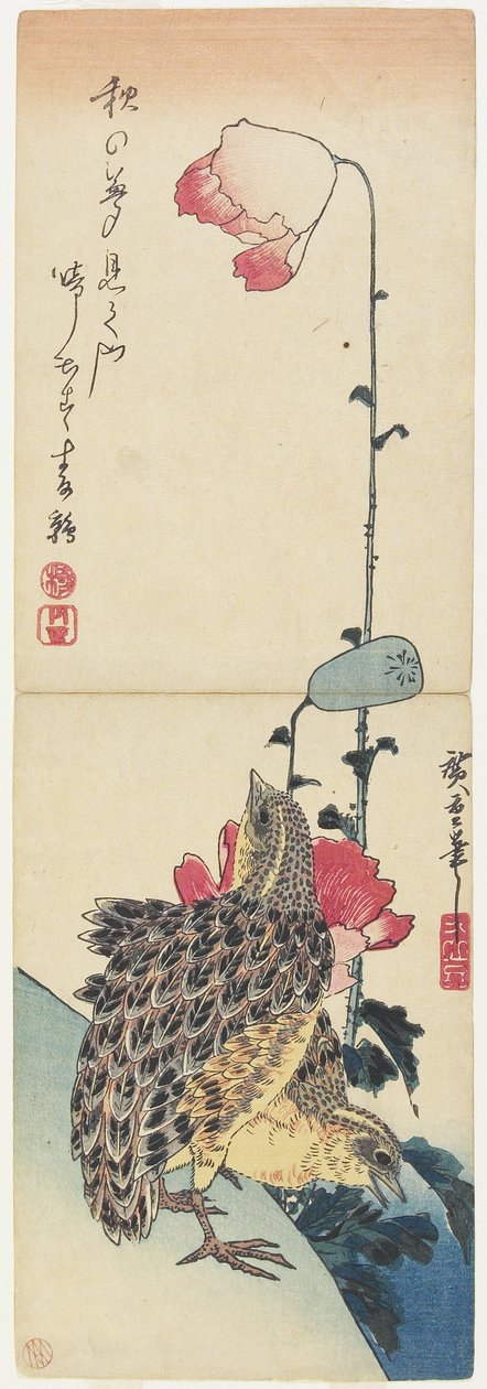(Fürj és mák), 1830-1858 alkotó: Utagawa Hiroshige