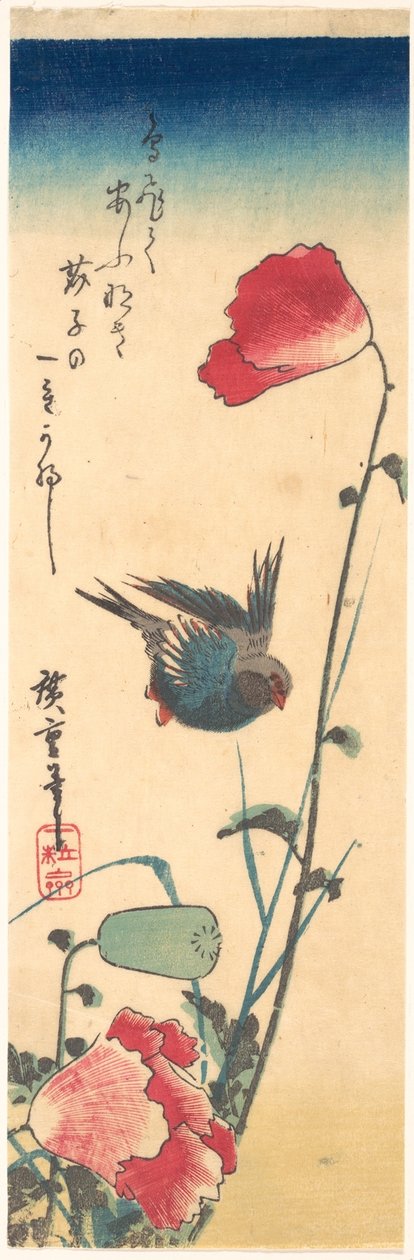 Ein Blaukehlchen und Mohnblumen alkotó: Utagawa Hiroshige