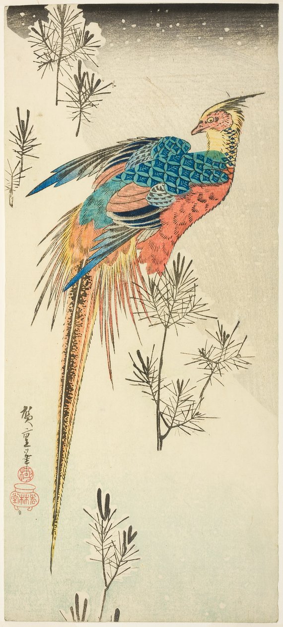 Egy aranyfácán egy meredek havas domboldalon ült kis fenyőcsemeték között alkotó: Utagawa Hiroshige